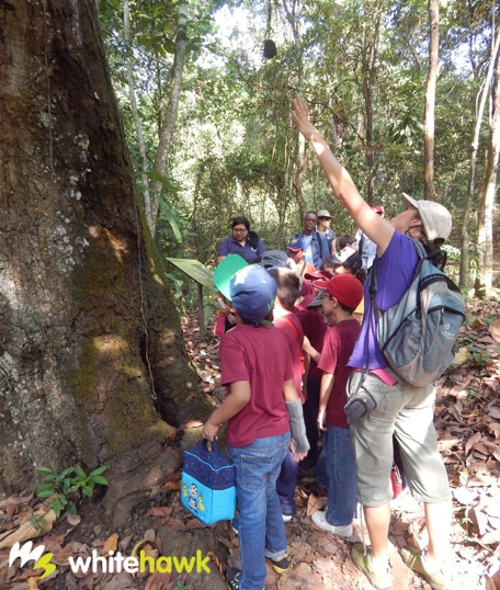 Junior Naturalists Panama