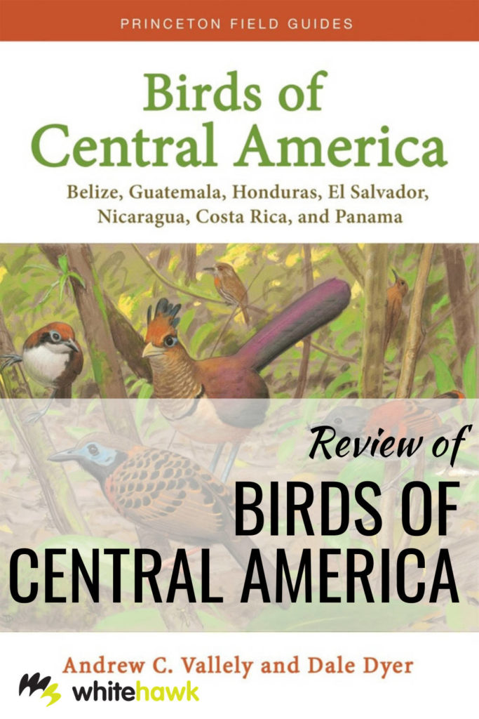 Review of Birds of Central America - Whitehawk Birding: A comprehensive review of this new field guide to the Birds of Central America.