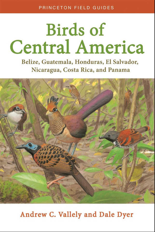 Birds of Central America Cover