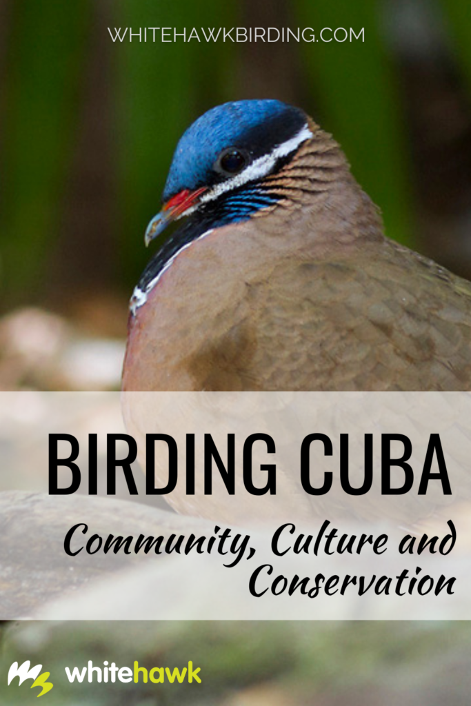 Birding Cuba: Community, Culture and Conservation - Whitehawk Birding: A birding trip to Cuba gives us an opportunity to discover its unique culture and become part of the community.