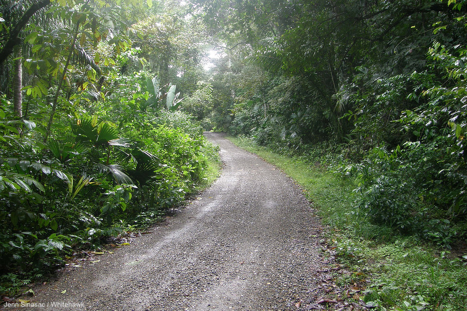 Pipeline Road Panama