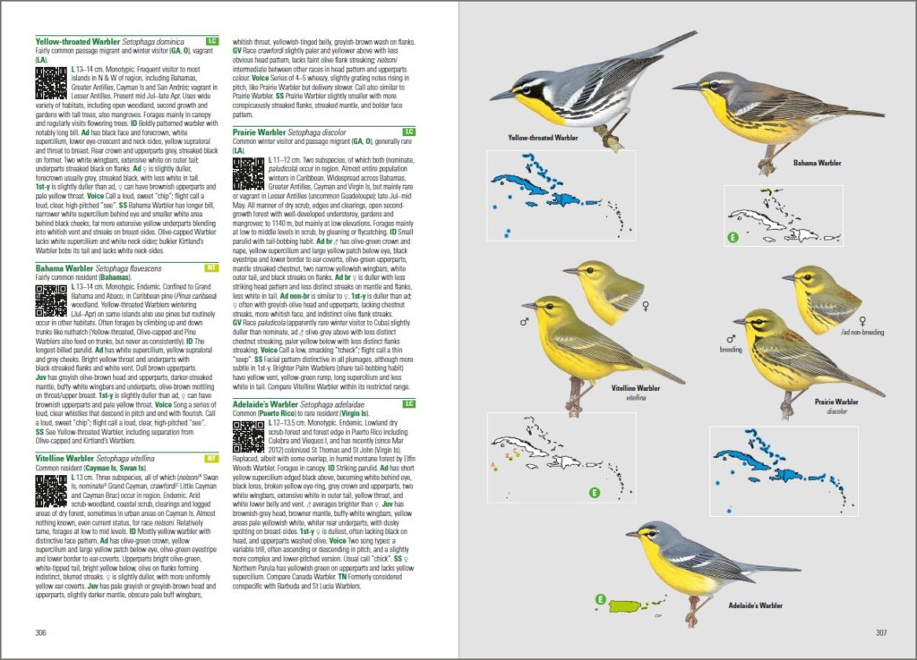 An example of the new book by Lynx Edicions: North American warblers have now good illustrations that are useful for ID in the field