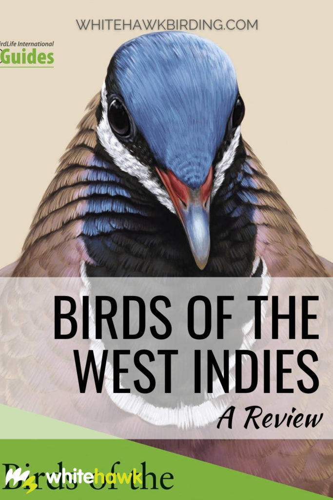 Birds of the West Indies: A Review - Whitehawk Birding: A comprehensive review of the new field guide to birds of the West Indies.