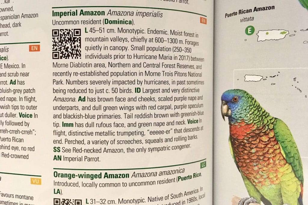 QR codes have been added to the section of each species. These are linked with the corresponding pages in the Internet Bird Collection