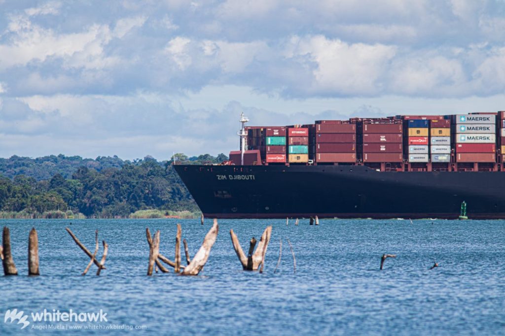 Ship on Panama Canal