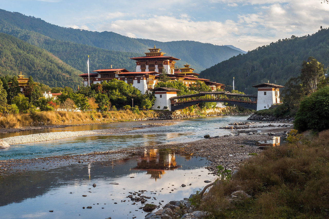 Punakha Zhong Bhutan Whitehawk Birding