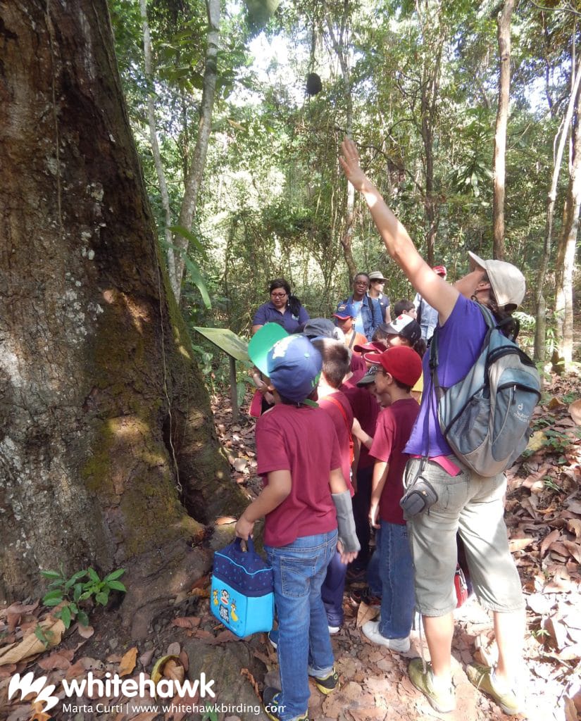 Jr. Naturalist Program Balboa Whitehawk Birding Panama