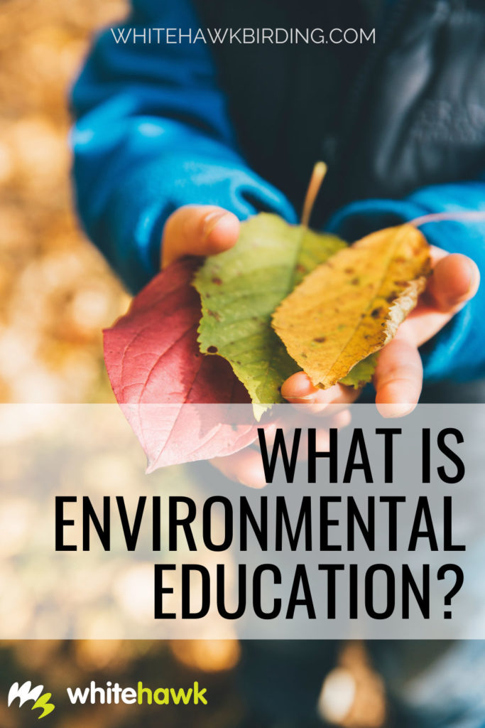 What is Environmental Education? - Whitehawk Birding: Environmental education connects us to nature in a way that promotes exploration and learning.