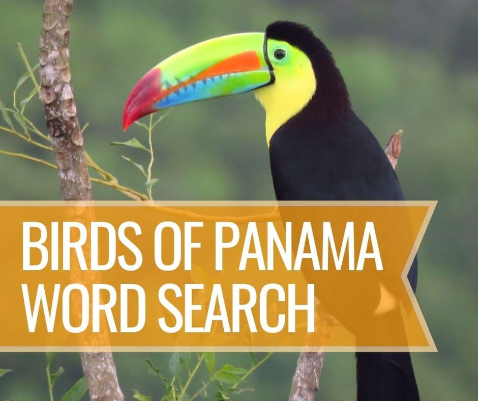 Birds of Panama Word Search
