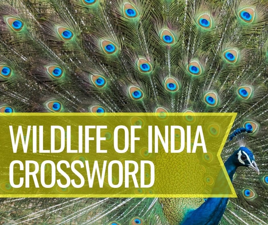 Wildlife of India Crossword Puzzle