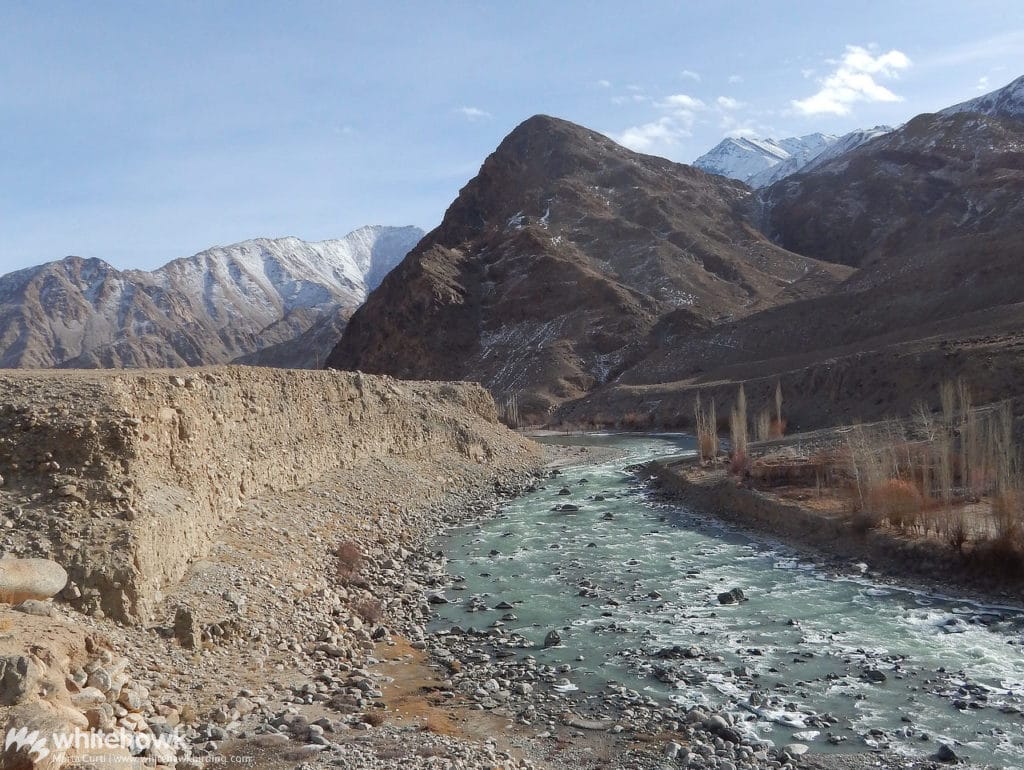 Snow Leopard Habitat Himalayas