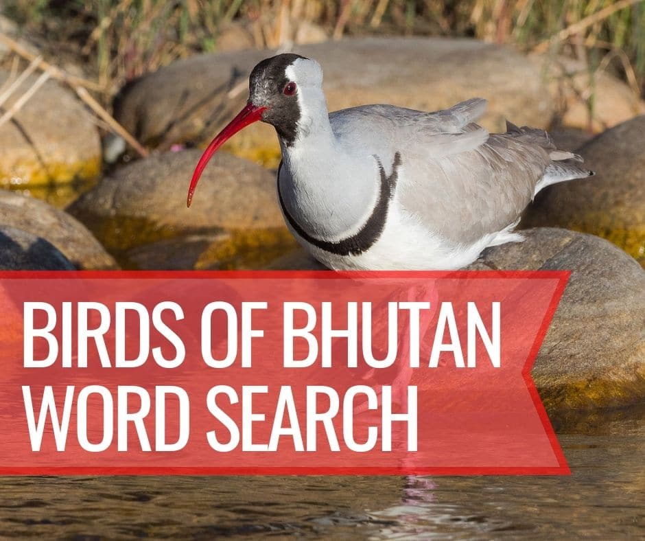Birds of Bhutan Word Search