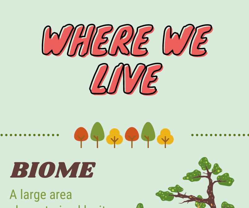 Where We Live Infographic Biome Ecosystem Habitat Niche Whitehawk Birding