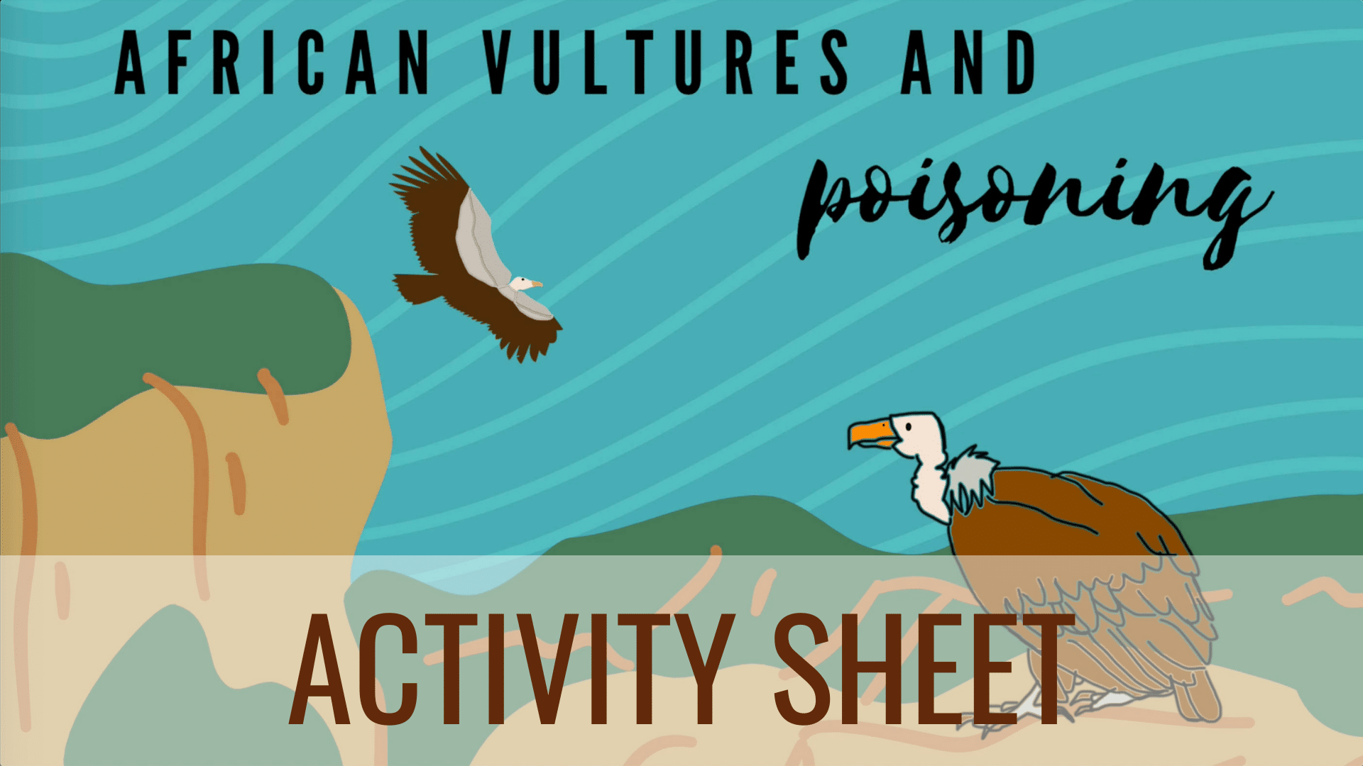 African Vulture Crisis Activity Sheet Whitehawk Birding