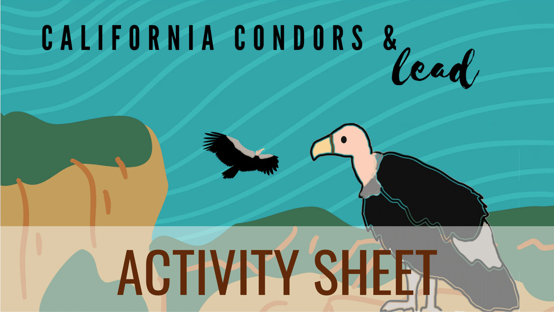 California Condor Activity Sheet Whitehwawk Birding