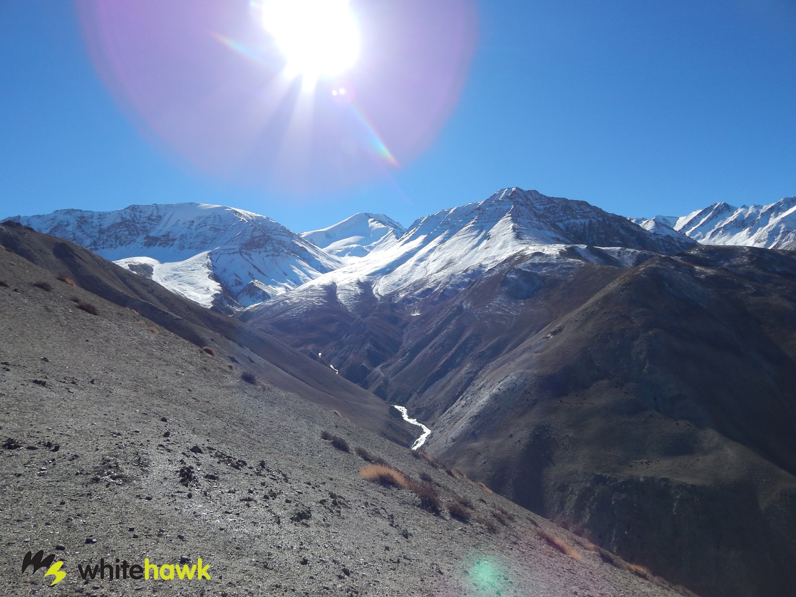 Of Blue Skies and Blue Sheep: In Search of the Elusive Snow Leopard Part II