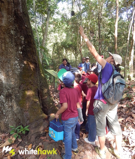 Whitehawk Junior Naturalist Program Begins