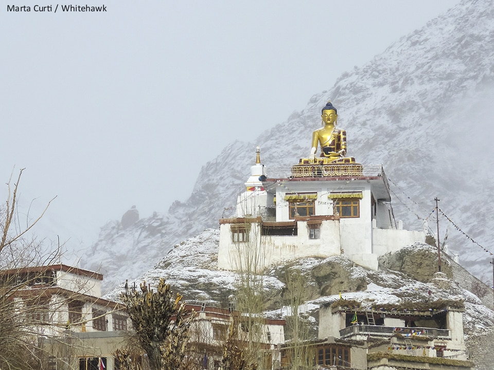Of Wolves and Winter: In Search of the Elusive Snow Leopard Part I – Hemis National Park