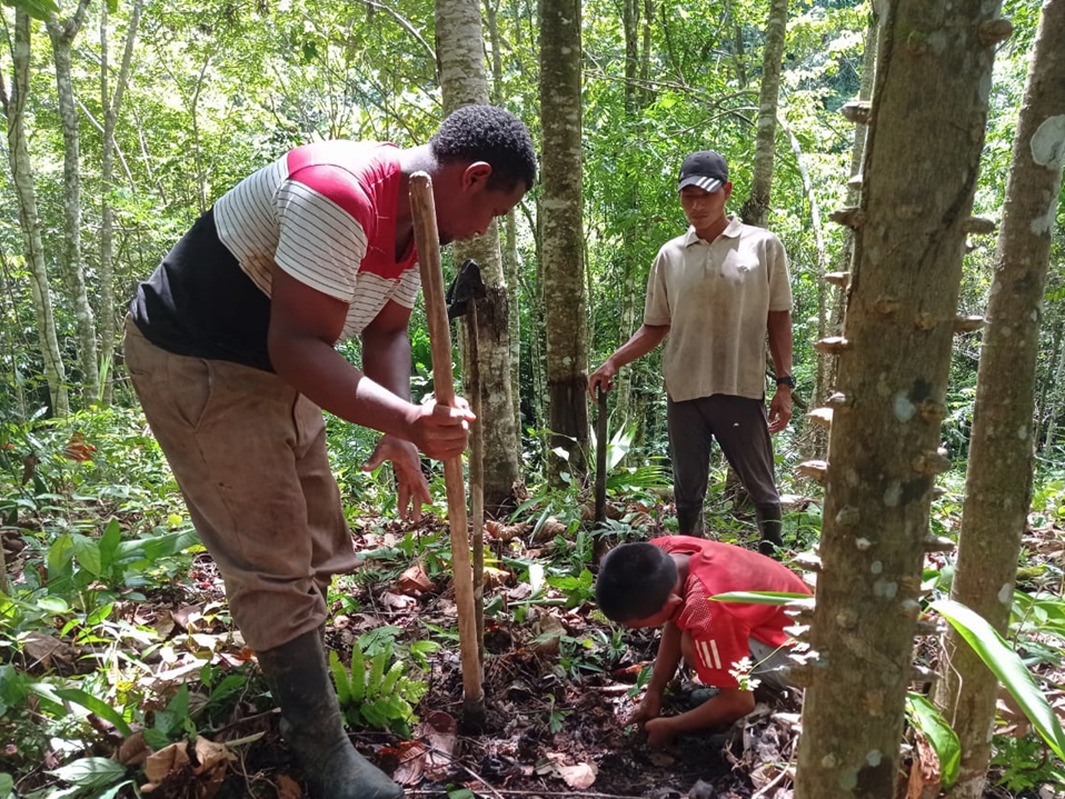 Fundacion Rapaces y Bosques de Panama Carbon Offsetting