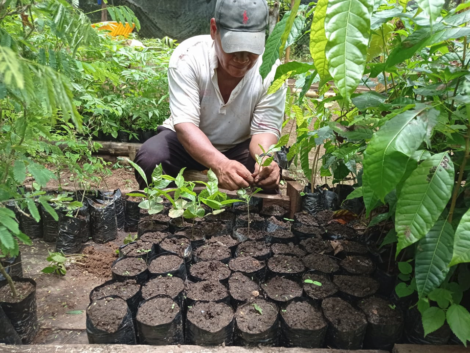 Fundacion Rapaces y Bosques de Panama Carbon Offsetting