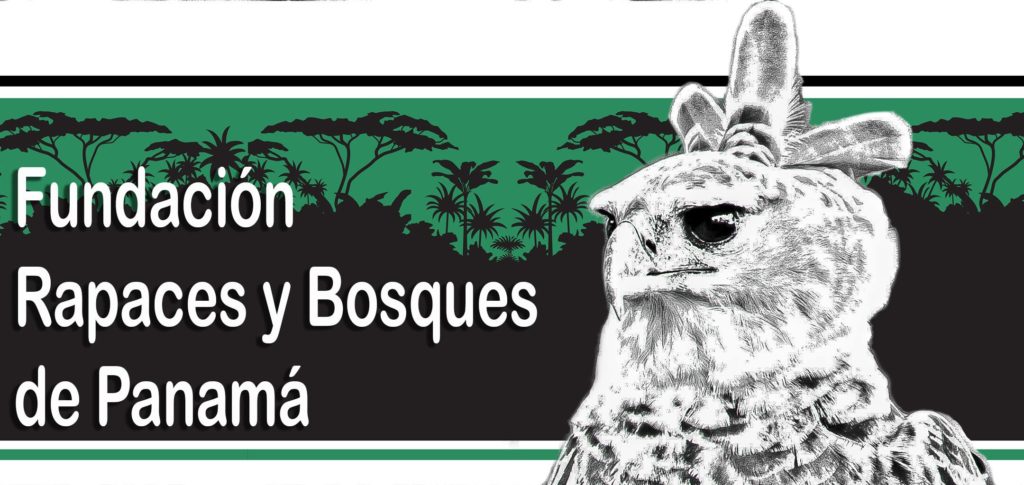Fundacion Rapaces y Bosques Panama logo