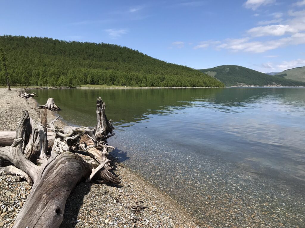 Lake Khovsgol, Whitehawk Birding Mongolia