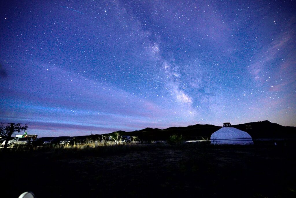 Night sky at Ongi River, Mongolia. Whitehawk Birding and Conservation