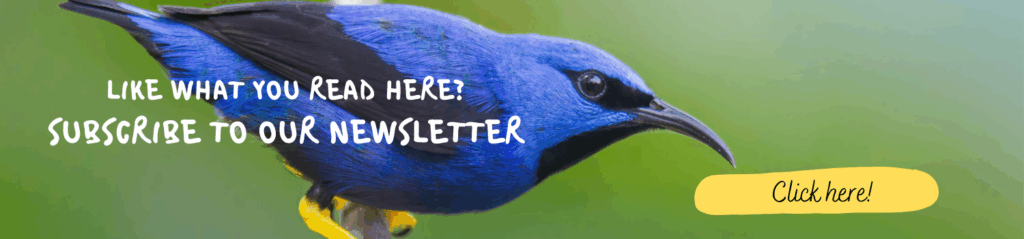 Banner Honecreeper Whitehawk Birding