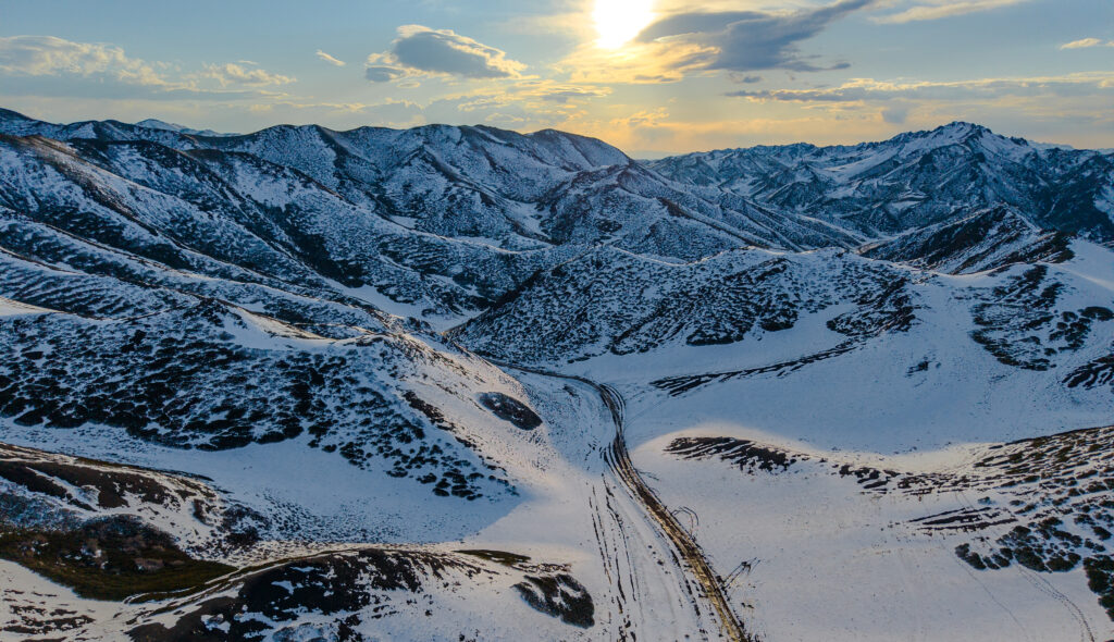 Yol Valley. Mongolia. Whitehawk Birding