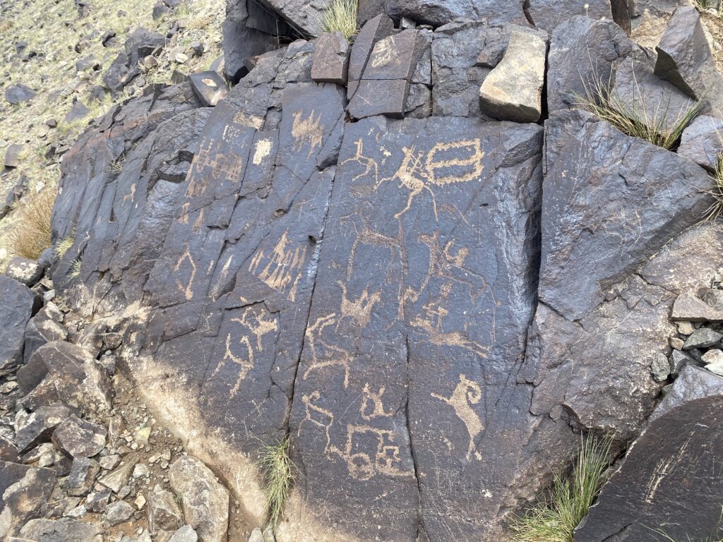 Khavtsgait Petroglyphs. Mongolia. Whitehawk Birding